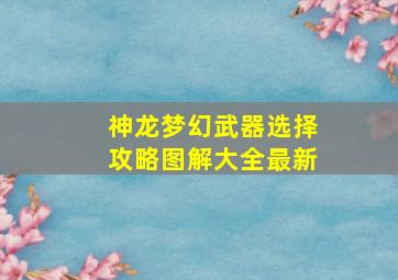 神龙梦幻武器选择攻略图解大全最新