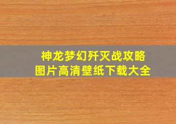 神龙梦幻歼灭战攻略图片高清壁纸下载大全