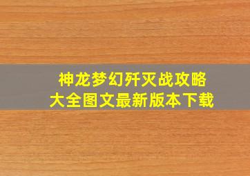 神龙梦幻歼灭战攻略大全图文最新版本下载