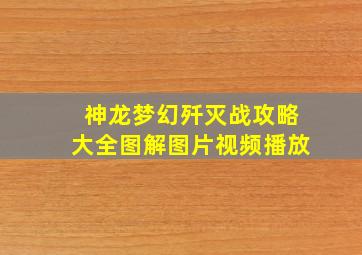 神龙梦幻歼灭战攻略大全图解图片视频播放