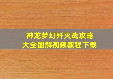 神龙梦幻歼灭战攻略大全图解视频教程下载