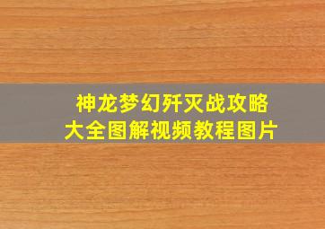 神龙梦幻歼灭战攻略大全图解视频教程图片