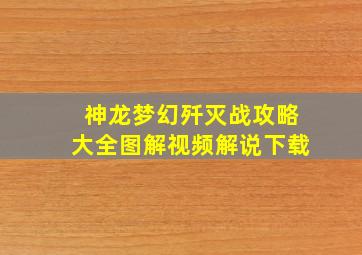 神龙梦幻歼灭战攻略大全图解视频解说下载