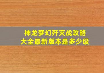 神龙梦幻歼灭战攻略大全最新版本是多少级