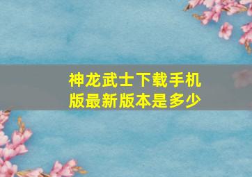 神龙武士下载手机版最新版本是多少