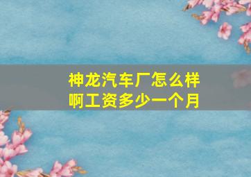 神龙汽车厂怎么样啊工资多少一个月