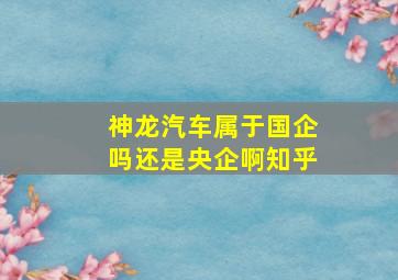 神龙汽车属于国企吗还是央企啊知乎