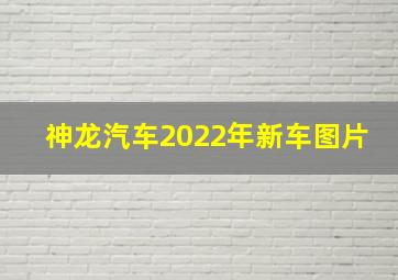 神龙汽车2022年新车图片