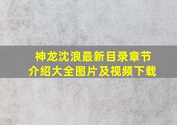 神龙沈浪最新目录章节介绍大全图片及视频下载