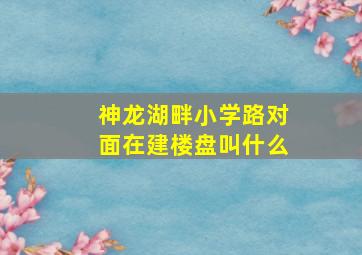 神龙湖畔小学路对面在建楼盘叫什么