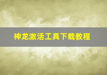 神龙激活工具下载教程