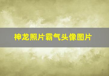 神龙照片霸气头像图片