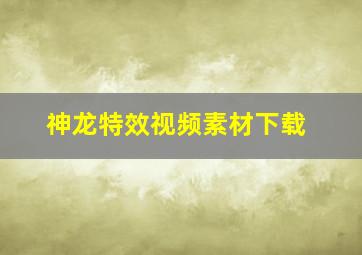 神龙特效视频素材下载