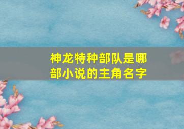 神龙特种部队是哪部小说的主角名字