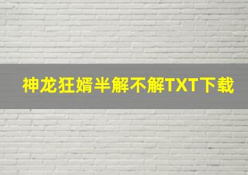 神龙狂婿半解不解TXT下载