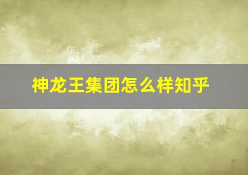 神龙王集团怎么样知乎