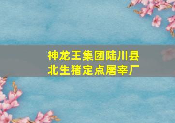 神龙王集团陆川县北生猪定点屠宰厂