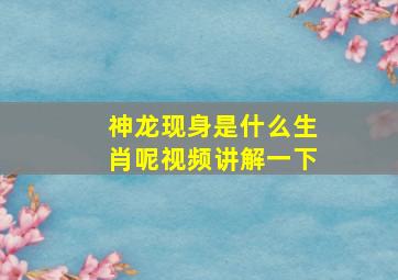 神龙现身是什么生肖呢视频讲解一下