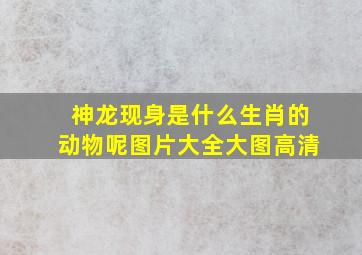 神龙现身是什么生肖的动物呢图片大全大图高清