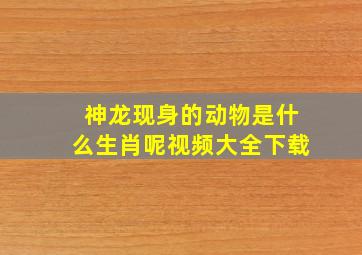 神龙现身的动物是什么生肖呢视频大全下载