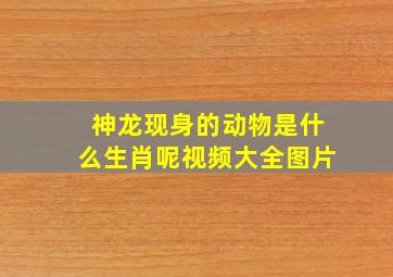 神龙现身的动物是什么生肖呢视频大全图片