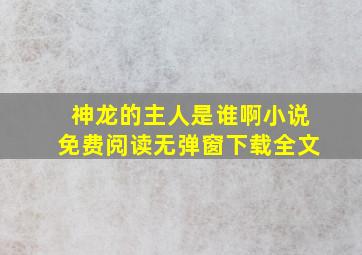 神龙的主人是谁啊小说免费阅读无弹窗下载全文