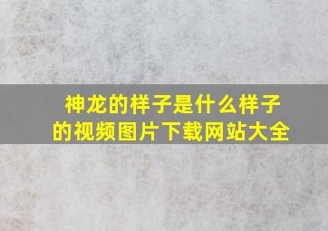 神龙的样子是什么样子的视频图片下载网站大全