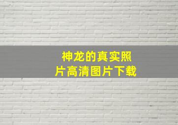 神龙的真实照片高清图片下载