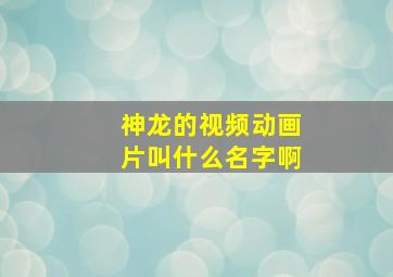 神龙的视频动画片叫什么名字啊