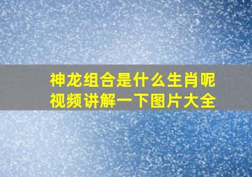 神龙组合是什么生肖呢视频讲解一下图片大全