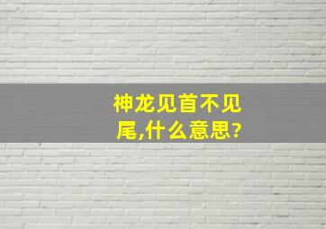 神龙见首不见尾,什么意思?