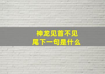 神龙见首不见尾下一句是什么