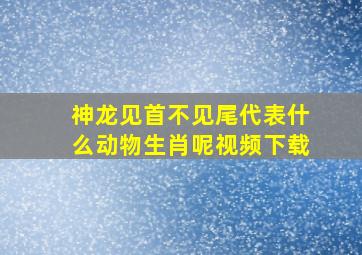 神龙见首不见尾代表什么动物生肖呢视频下载