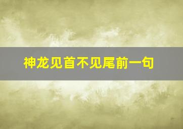 神龙见首不见尾前一句