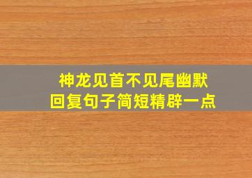 神龙见首不见尾幽默回复句子简短精辟一点