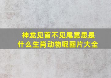 神龙见首不见尾意思是什么生肖动物呢图片大全