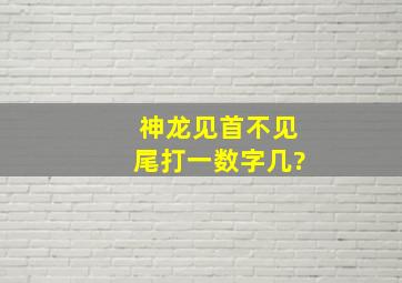 神龙见首不见尾打一数字几?