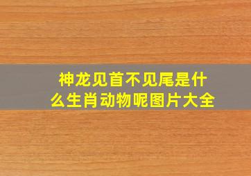 神龙见首不见尾是什么生肖动物呢图片大全