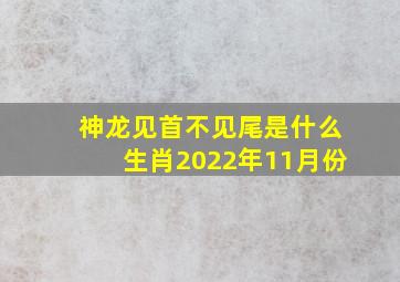 神龙见首不见尾是什么生肖2022年11月份