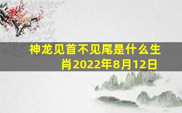 神龙见首不见尾是什么生肖2022年8月12日