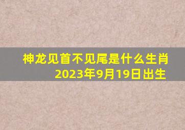 神龙见首不见尾是什么生肖2023年9月19日出生