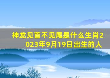 神龙见首不见尾是什么生肖2023年9月19日出生的人