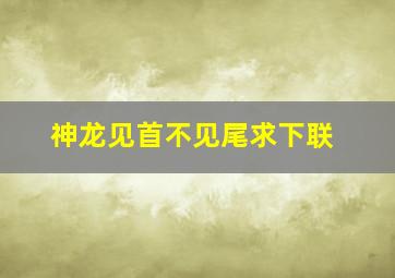 神龙见首不见尾求下联