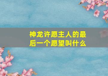 神龙许愿主人的最后一个愿望叫什么