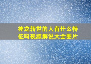 神龙转世的人有什么特征吗视频解说大全图片