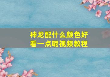 神龙配什么颜色好看一点呢视频教程