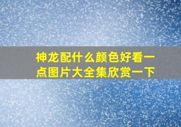 神龙配什么颜色好看一点图片大全集欣赏一下