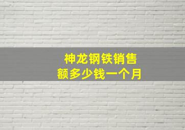 神龙钢铁销售额多少钱一个月