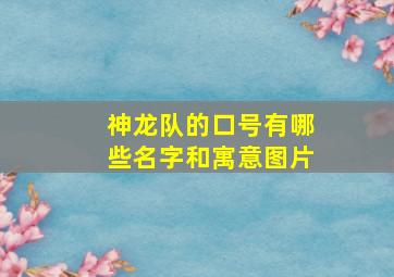 神龙队的口号有哪些名字和寓意图片