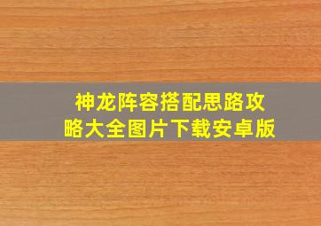 神龙阵容搭配思路攻略大全图片下载安卓版